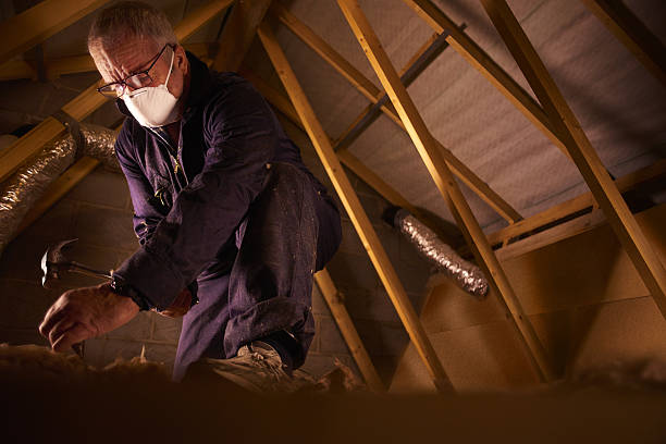 Best Eco-Friendly Insulation in Syracuse, NE